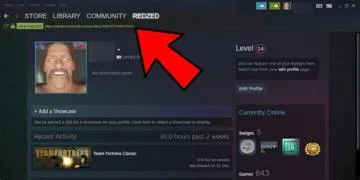 Can people on steam see your real name?