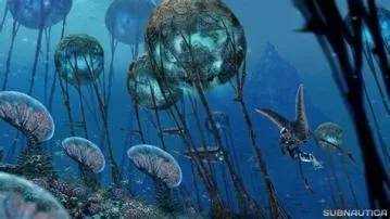What is the largest biome in subnautica?