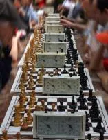 What is the longest chess game moves?