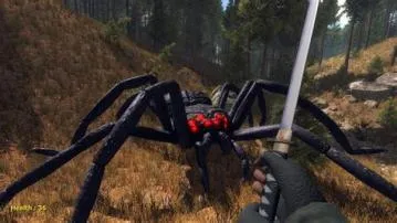 What is the steam game about killing spiders?