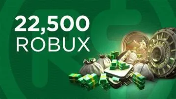 What happens if you buy robux but didnt get it?