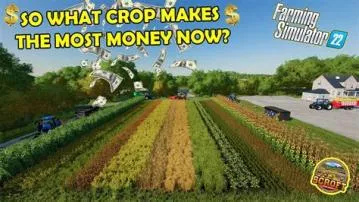 What crop makes the most money in fs22?