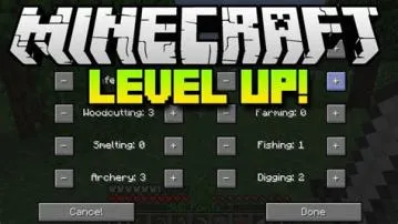 What is level 0 in minecraft?