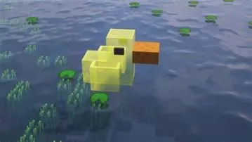 What is a minecraft duck?
