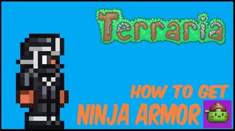 Who is the ninja in terraria
