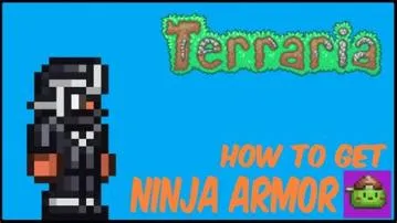 Who is the ninja in terraria?