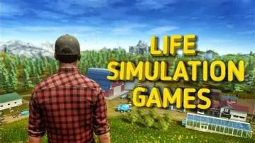 What makes a good simulation games?