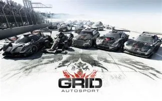 Is grid autosport an online game?