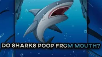 Do sharks poop bones?