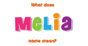 What does the name meliá mean?