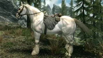 Does your horse follow you in skyrim?
