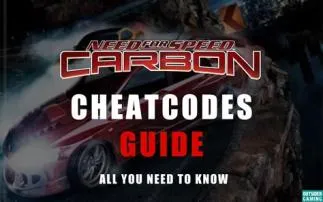 How to put cheat codes in nfs carbon?