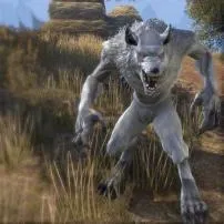 Can i become a werewolf in eso?
