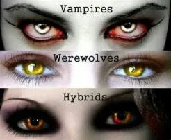 How to be a vampire hybrid?