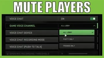 Can call of duty mute you?