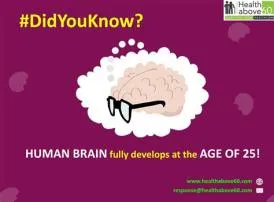 At what age does 100 of the brain fully develop?