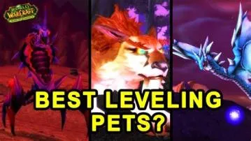 What pet is best for leveling 1 70 tbc?
