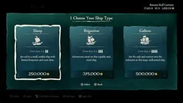 Why buy ships in sea of thieves?