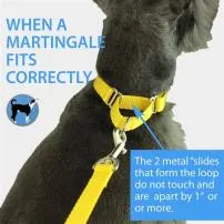 Is a martingale collar better than a slip lead?