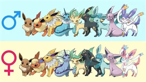 Is eevee a guy or a girl