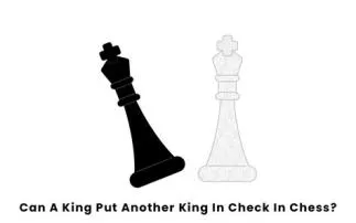 Can you use a king to put a king in check?