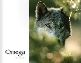 What is the omega wolf?