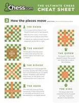 What is the 4 moves in chess?