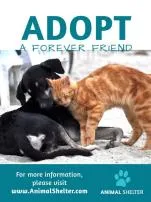 How many pets are in adopt me in total?