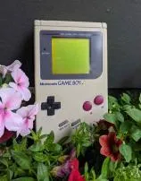 Why is the original gameboy called dmg?