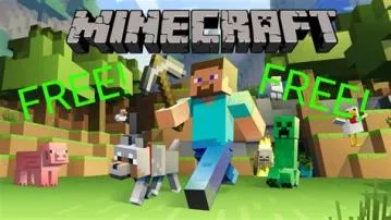 What type of minecraft can you play on pc?