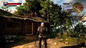 Can a 12 year old play the witcher?