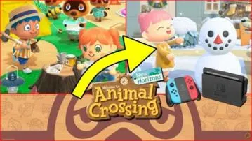 What happens when you transfer animal crossing to another switch?
