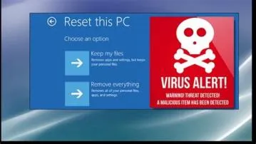 Can a virus survive a full reset?