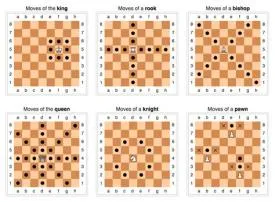 What chess move is 0 0 0?