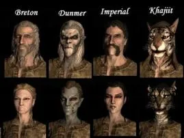 What is the most common race in skyrim?