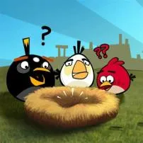 Who stole the angry birds eggs?