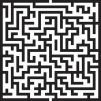 What do you do in the maze?