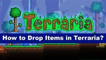Do items drop on death terraria?