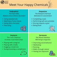 What is the happiest chemical?
