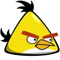 How old is yellow angry bird?