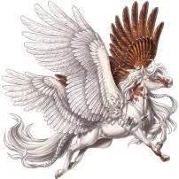 Are pegasus real yes or no?