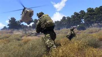 Do you have to play arma 3 online?