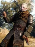 How much can witcher carry?