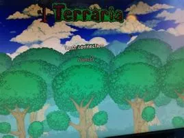 Why cant i join friends on terraria?