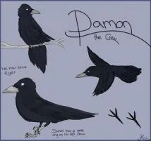 Is damon a crow or a raven?