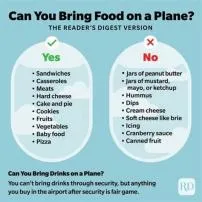What food cannot be taken on a plane?