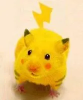 Is pikachu a mouse or rat?